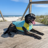 Crystal Cool Pet Cooling Shirt Body Glove Online Shop