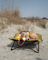 Fold & Go Pet Cot Body Glove Online