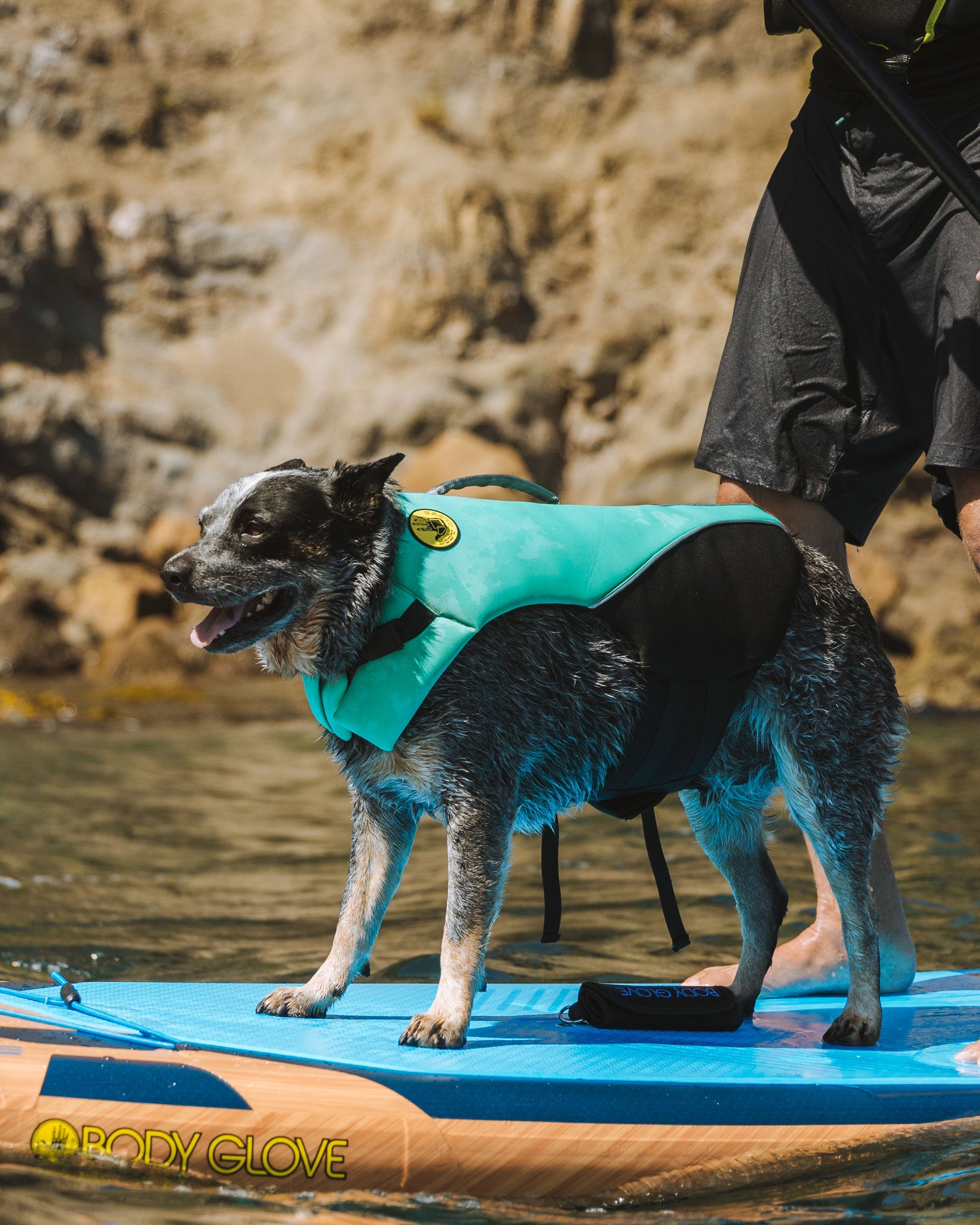 Neoprene Pet Life Jacket Body Glove Discount