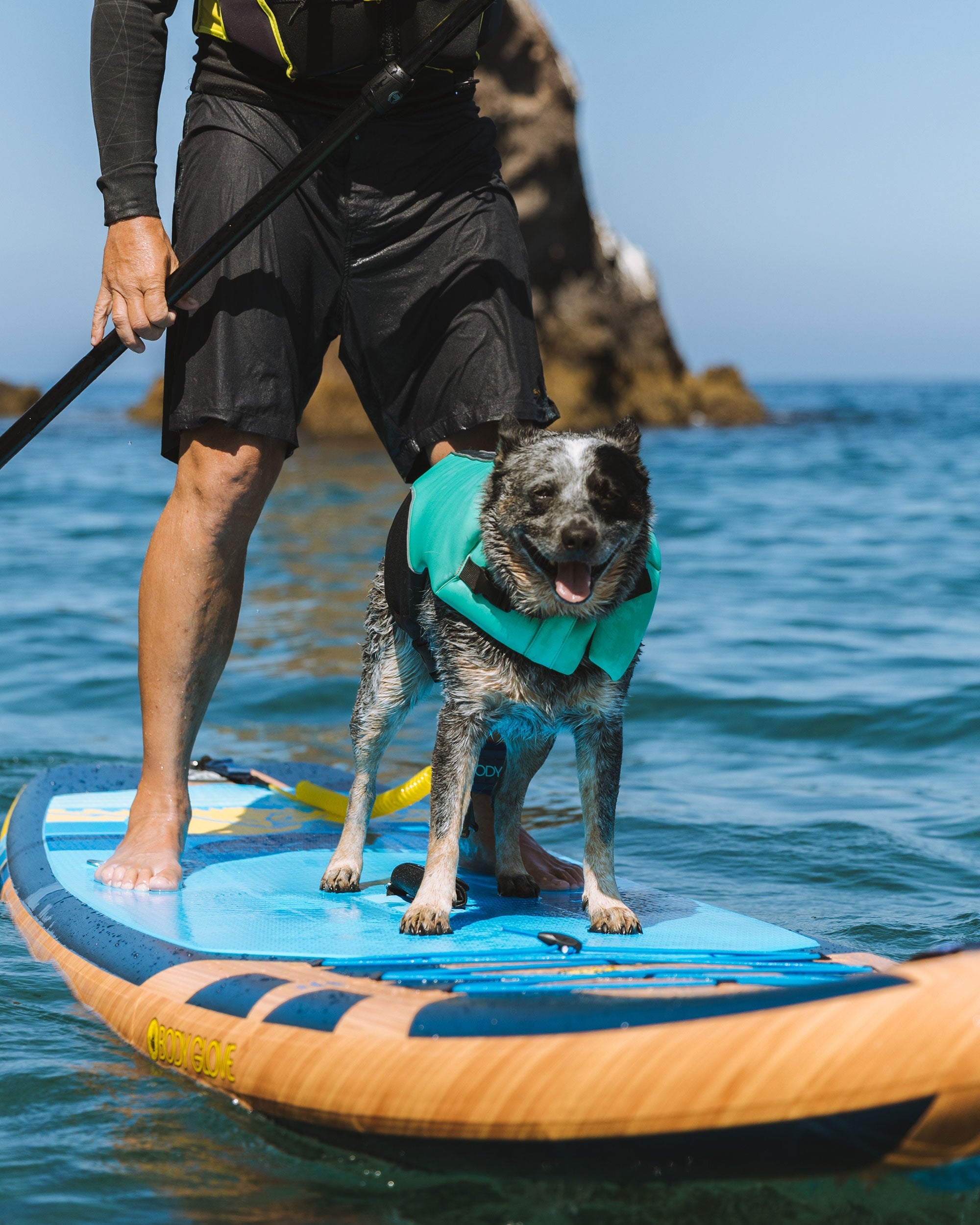 Neoprene Pet Life Jacket Body Glove Discount