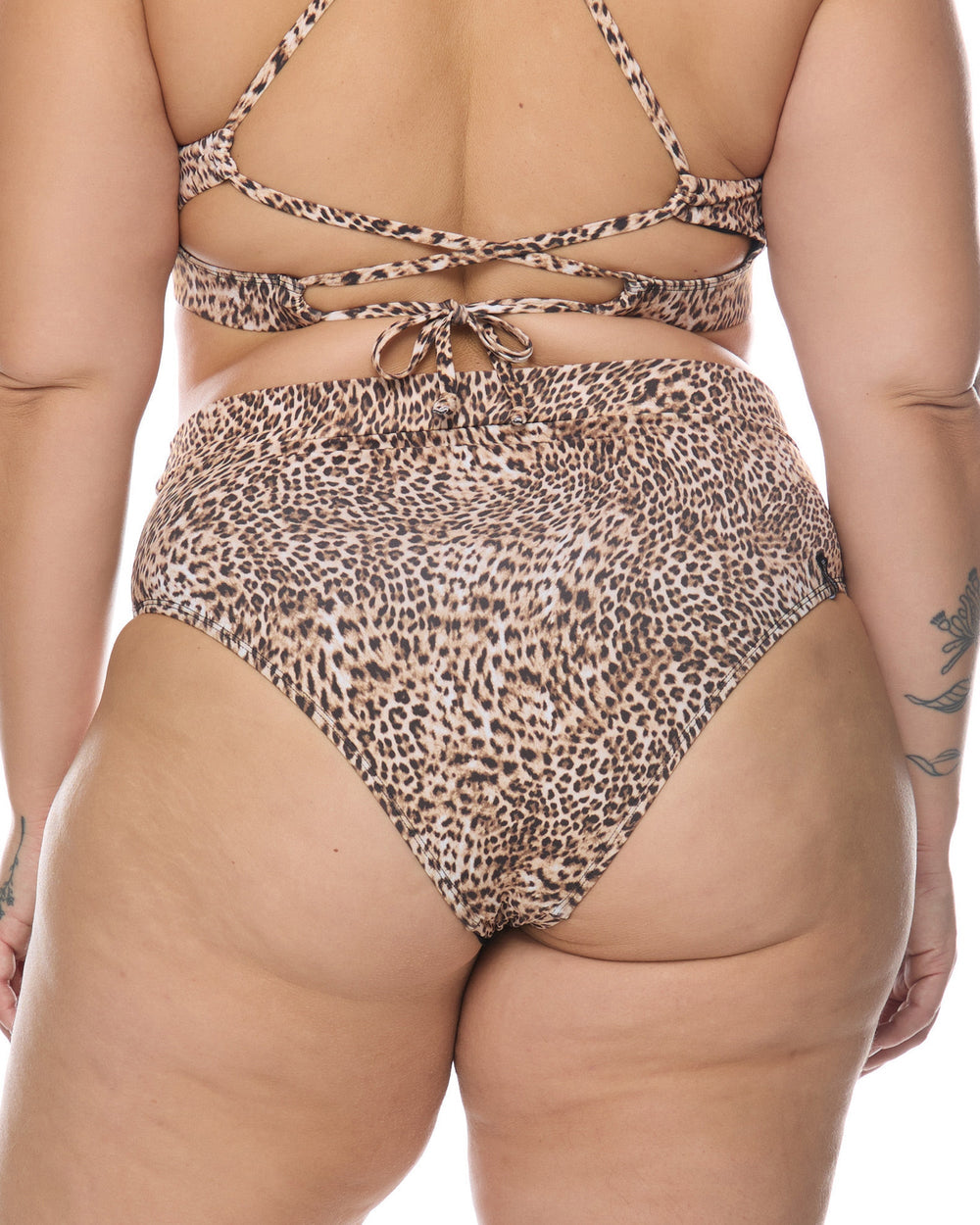 Primal Marlee Plus Size High-Waist Bikini Bottom Body Glove New