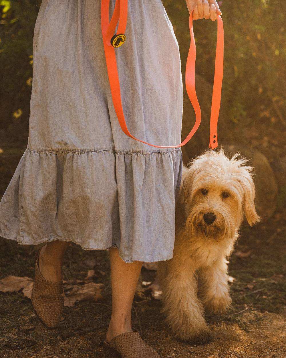 Waterproof Leash Body Glove Online Shop