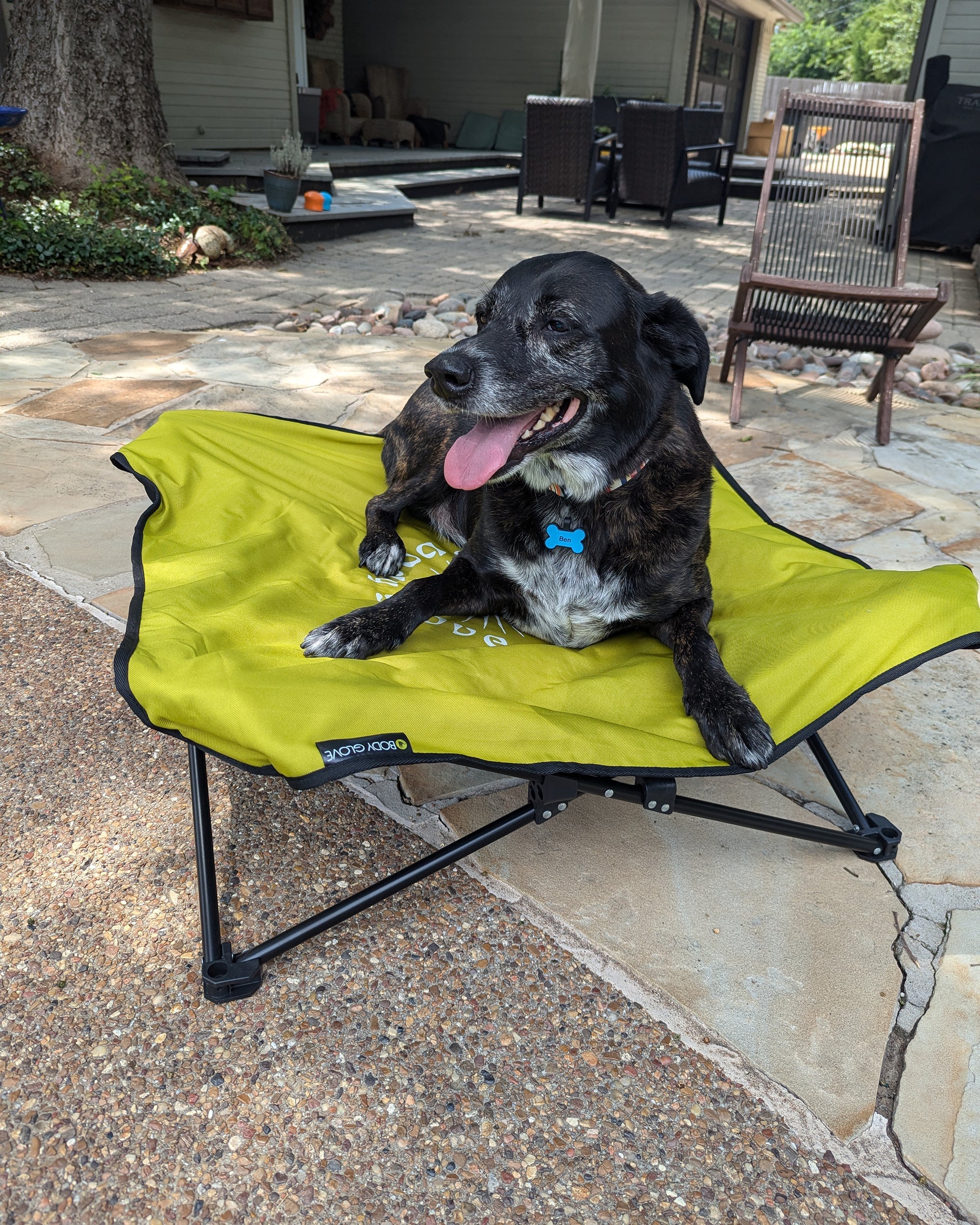Fold & Go Pet Cot Body Glove Online