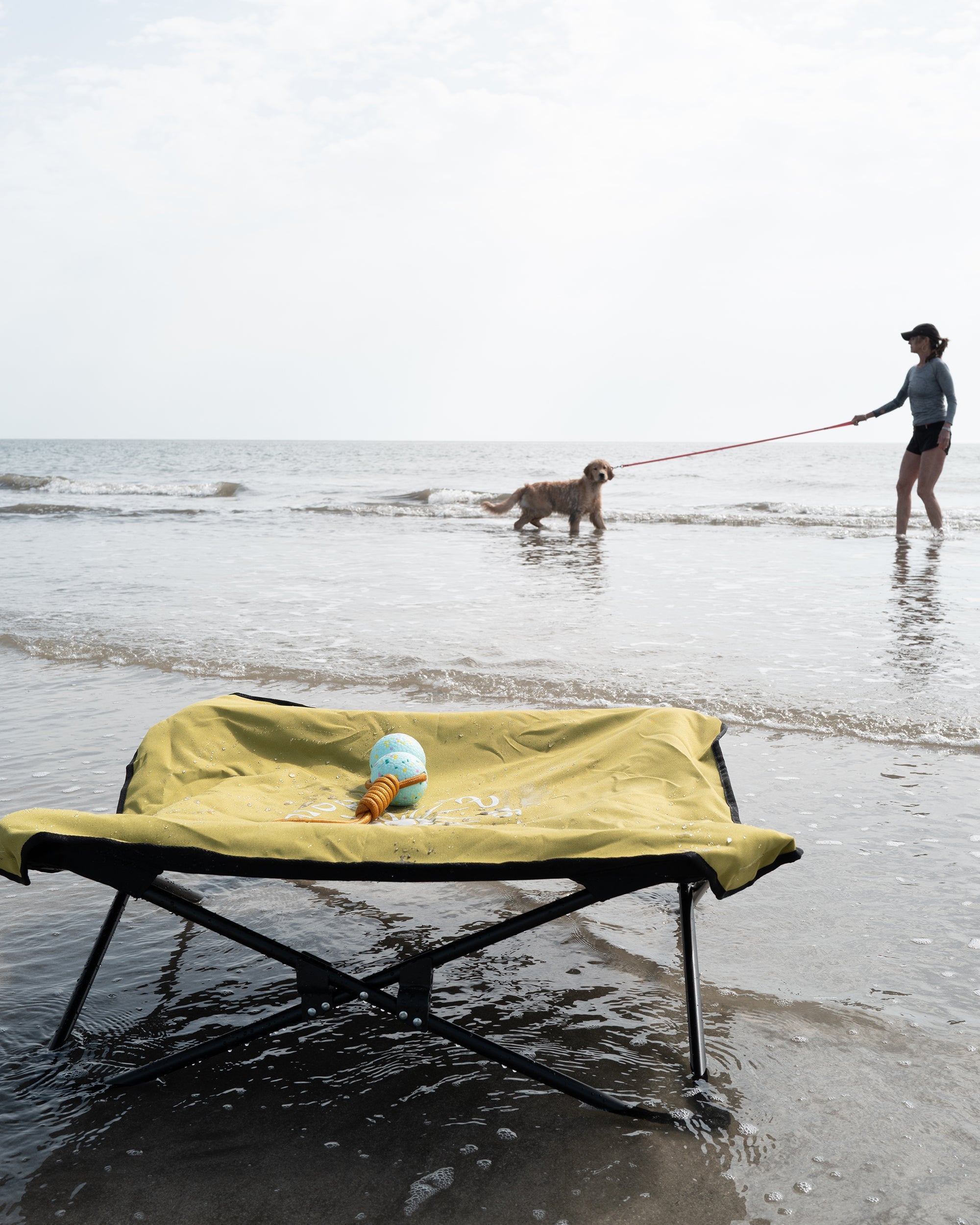 Fold & Go Pet Cot Body Glove Online