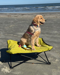 Fold & Go Pet Cot Body Glove Online