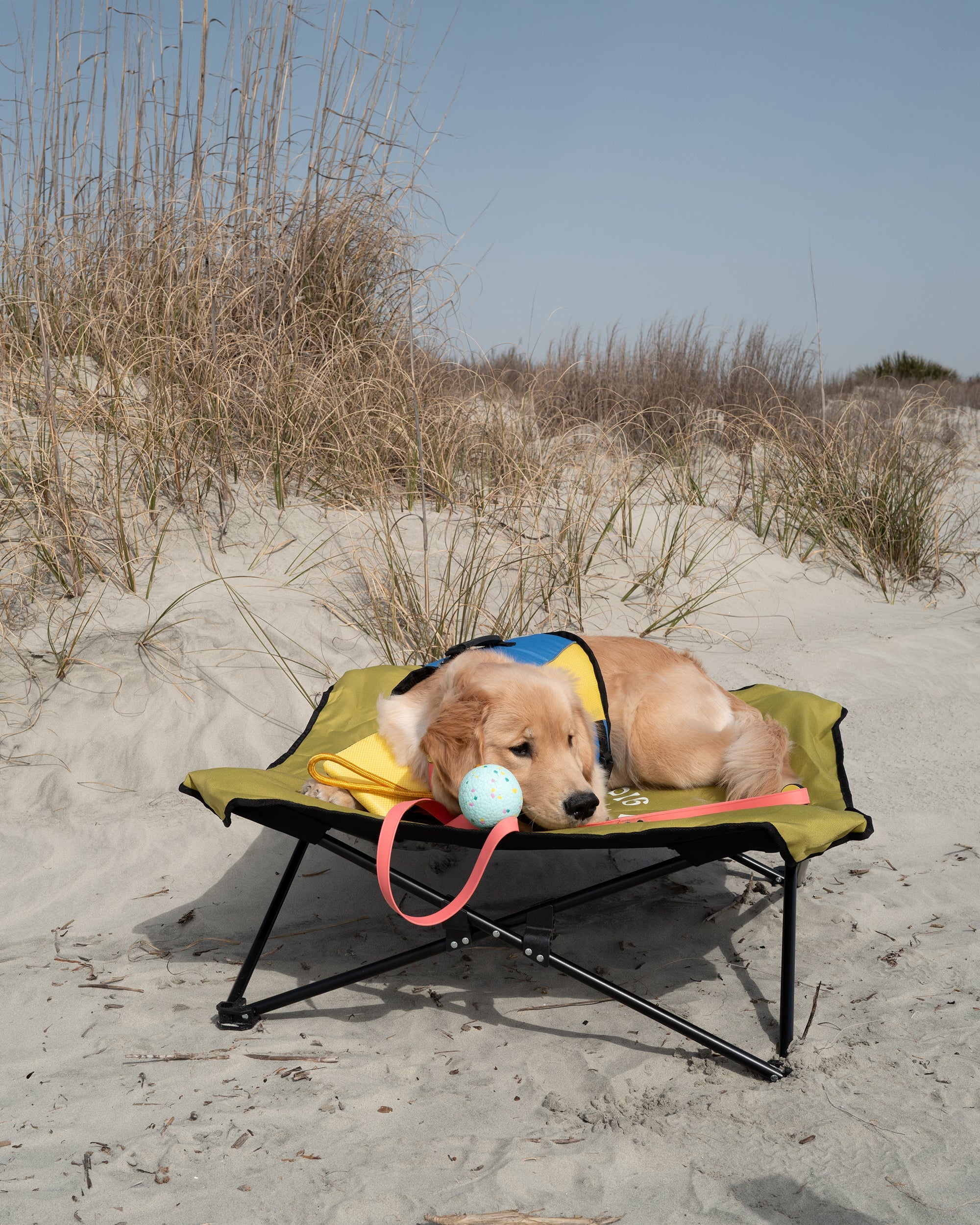 Fold & Go Pet Cot Body Glove Online