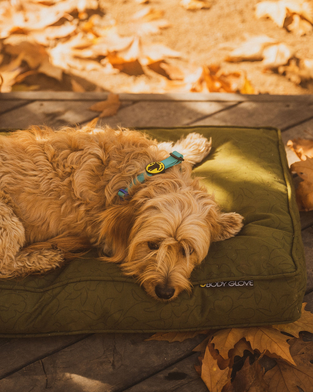 Paintflower Pet Napper Body Glove Sale